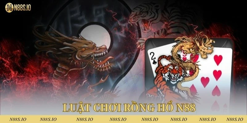 Hội viên nắm rõ luật chơi khi tham gia cá cược rồng hổ